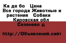 Ка де бо › Цена ­ 25 000 - Все города Животные и растения » Собаки   . Кировская обл.,Сезенево д.